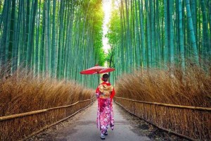 Destination: Kyoto – Japan’s Cultural & Spiritual Capital