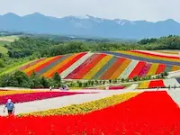 Best Seasonal Experiences in Japan