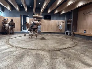 Sumo Morning Practice Experience — Etiquette, Booking Guide & What to Expect