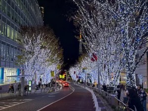 Best Winter Illuminations in Tokyo 2025-2026