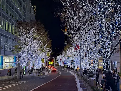 Elegant street lined with sparkling blue and white lights, featuring illuminated trees and a view of Tokyo Tower in the background.