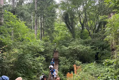 Hikers ascending a wooden staircase through a lush green forest in Japan.
