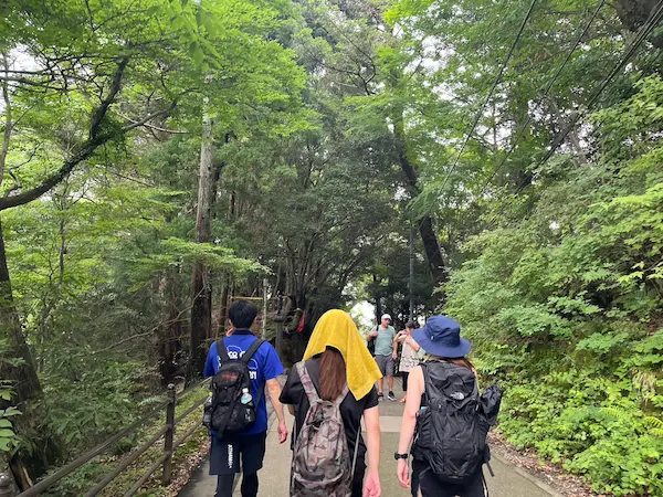 Group of hikers walking along a forest path surrounded by lush greenery in Japan.