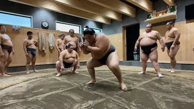 A group of sumo wrestlers training in a stable, showcasing various exercises and routines as they prepare for morning practice.