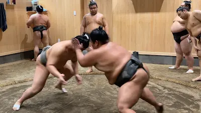 Two sumo wrestlers engaging in a practice bout in a training room, with several other wrestlers observing in the background.