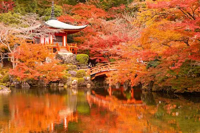 紅葉に囲まれた日本の伝統的な建物と橋が映る池の風景
