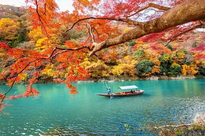 色とりどりの秋の紅葉が映える川に、舟が浮かんでいる風景